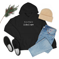 Fun Fact: I Don't Care Hooded Sweatshirt